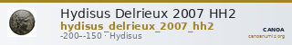 Hydisus Delrieux 2007 HH2 — CANOA