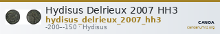 Hydisus Delrieux 2007 HH3 — CANOA