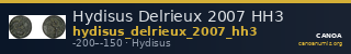 Hydisus Delrieux 2007 HH3 — CANOA