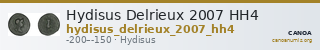 Hydisus Delrieux 2007 HH4 — CANOA