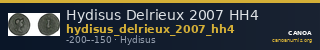 Hydisus Delrieux 2007 HH4 — CANOA