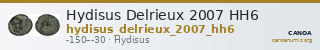 Hydisus Delrieux 2007 HH6 — CANOA