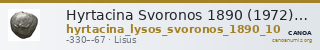 Hyrtacina Svoronos 1890 (1972) 10 — CANOA