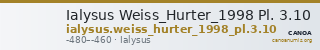 Ialysus Weiss_Hurter_1998 Pl. 3.10 — CANOA