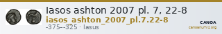Iasos ashton 2007 pl. 7, 22-8 — CANOA