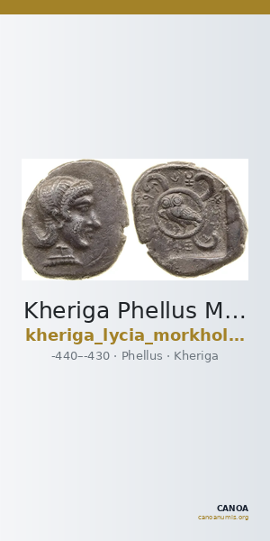 Kheriga Phellus Mørkholm and Zahle 1976 2-8 — CANOA