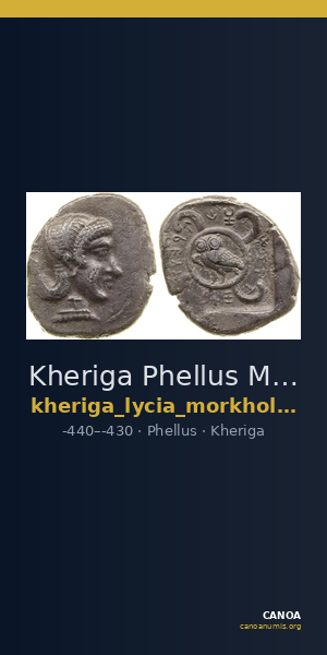 Kheriga Phellus Mørkholm and Zahle 1976 2-8 — CANOA