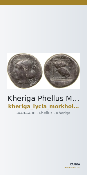 Kheriga Phellus Mørkholm and Zahle 1976 9-16 — CANOA