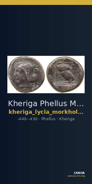 Kheriga Phellus Mørkholm and Zahle 1976 9-16 — CANOA