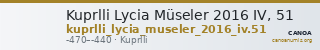 Kuprlli Lycia Müseler 2016 IV, 51 — CANOA