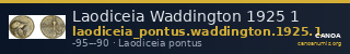 Laodiceia Waddington 1925 1 — CANOA