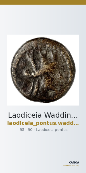 Laodiceia Waddington 1925 2 — CANOA