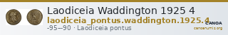 Laodiceia Waddington 1925 4 — CANOA