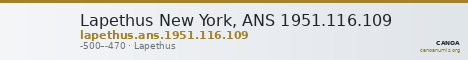 Lapethus New York, ANS 1951.116.109 — CANOA