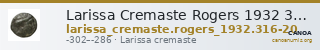 Larissa Cremaste Rogers 1932 316-320 — CANOA