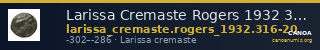Larissa Cremaste Rogers 1932 316-320 — CANOA