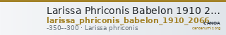 Larissa Phriconis Babelon 1910 2066 — CANOA