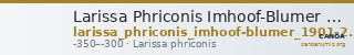 Larissa Phriconis Imhoof-Blumer 1901-2 p. 511, 1 — CANOA