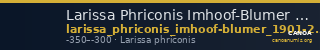 Larissa Phriconis Imhoof-Blumer 1901-2 p. 511, 1 — CANOA