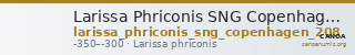 Larissa Phriconis SNG Copenhagen Larissa Phriconis 208 — CANOA