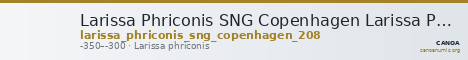 Larissa Phriconis SNG Copenhagen Larissa Phriconis 208 — CANOA