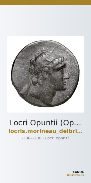 Locri Opuntii (Opus) Morineau and Delbridge 2014 Group 19-23 — CANOA