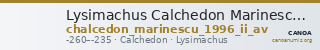 Lysimachus Calchedon Marinescu 1996 Group II gold — CANOA