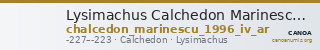 Lysimachus Calchedon Marinescu 1996 Group IV silver — CANOA