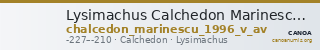 Lysimachus Calchedon Marinescu 1996 Group V gold — CANOA