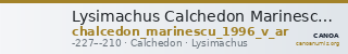 Lysimachus Calchedon Marinescu 1996 Group V silver — CANOA