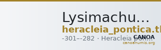 Lysimachus Heracleia Pontica Thompson 1968  177-178 — CANOA