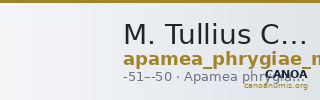 M. Tullius Cicero, governor of Cilicia Apamea in Phrygia Metcalf 2017 XI — CANOA
