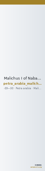 Malichus I of Nabataea Petra Barkay 2019 13, 18 — CANOA