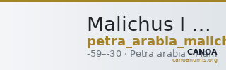 Malichus I of Nabataea Petra Barkay 2019 9-10, 15-16 — CANOA