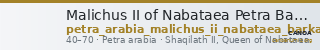 Malichus II of Nabataea Petra Barkay 2019 194, 212 — CANOA