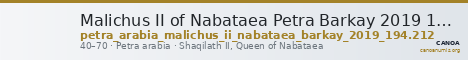 Malichus II of Nabataea Petra Barkay 2019 194, 212 — CANOA