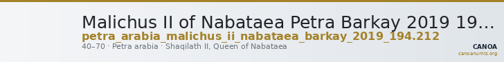 Malichus II of Nabataea Petra Barkay 2019 194, 212 — CANOA
