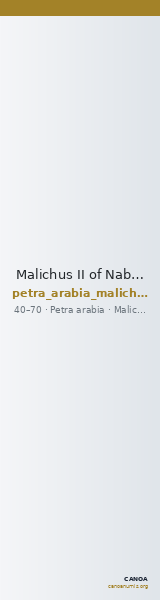 Malichus II of Nabataea Petra Barkay 2019 213 — CANOA