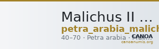 Malichus II of Nabataea Petra Barkay 2019 213 — CANOA