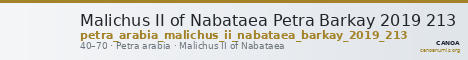 Malichus II of Nabataea Petra Barkay 2019 213 — CANOA