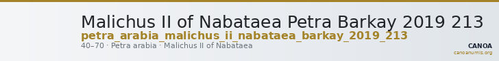 Malichus II of Nabataea Petra Barkay 2019 213 — CANOA