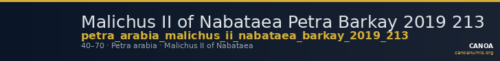 Malichus II of Nabataea Petra Barkay 2019 213 — CANOA