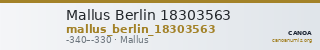 Mallus Berlin 18303563 — CANOA