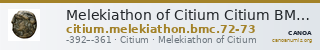 Melekiathon of Citium Citium BMC Citium 72-73 — CANOA