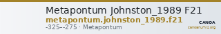 Metapontum Johnston_1989 F21 — CANOA