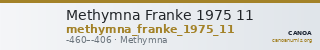 Methymna Franke 1975 11 — CANOA