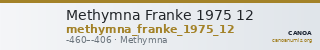 Methymna Franke 1975 12 — CANOA