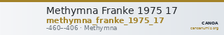 Methymna Franke 1975 17 — CANOA