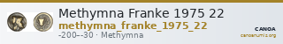 Methymna Franke 1975 22 — CANOA