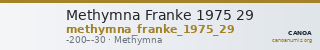 Methymna Franke 1975 29 — CANOA